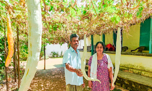 Manojs Rich and Diverse Farming