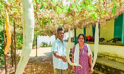 Manojs Rich and Diverse Farming