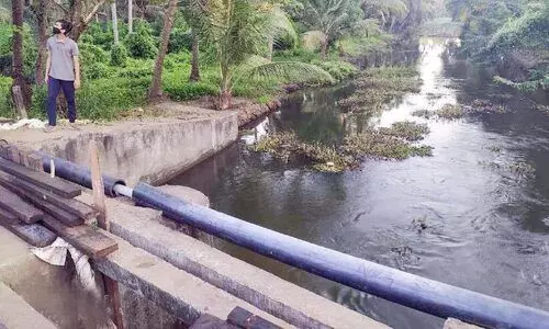 ബണ്ടുകൾ കെട്ടിയില്ല; ഉപ്പുവെള്ളം കയറി കൃഷിയും കുടിവെള്ളവും നശിക്കുന്നു