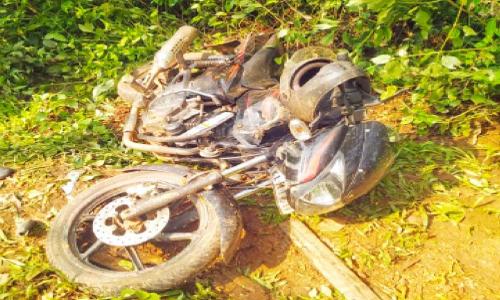 ആറളം ഫാമിൽ കാട്ടാന ബൈക്ക് തകർത്തു; തൊഴിലാളി രക്ഷപ്പെട്ടത് തലനാരിഴക്ക്