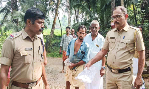 Man attacked elderly while theft