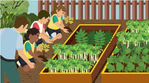 സ്കൂളുകളിൽ അടുക്കള പച്ചക്കറിത്തോട്ടമൊരുക്കണമെന്ന് ഉത്തരവ് സ്കൂളുകളിൽ അടുക്കള പച്ചക്കറിത്തോട്ടമൊരുക്കണമെന്ന് ഉത്തരവ്