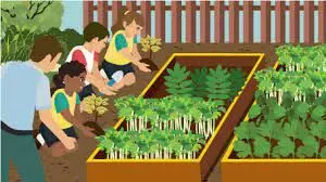 സ്കൂളുകളിൽ അടുക്കള പച്ചക്കറിത്തോട്ടമൊരുക്കണമെന്ന് ഉത്തരവ് സ്കൂളുകളിൽ അടുക്കള പച്ചക്കറിത്തോട്ടമൊരുക്കണമെന്ന് ഉത്തരവ്