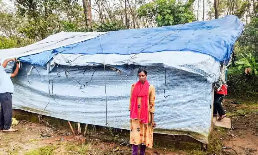 സ്മിതക്കും കുടുംബത്തിനും പീപ്പിൾസ് ഫൗണ്ടേഷൻ വീടൊരുക്കും സ്മിതക്കും കുടുംബത്തിനും പീപ്പിൾസ് ഫൗണ്ടേഷൻ വീടൊരുക്കും