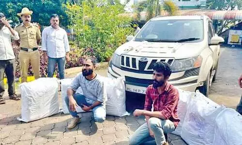 39.15 lakhs worth of ganja arrested