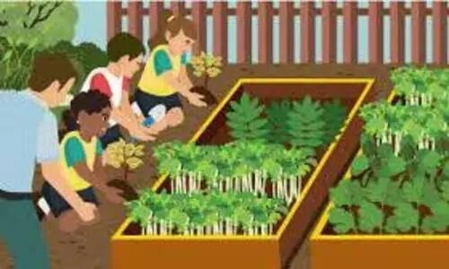 സ്കൂ​ളു​ക​ളി​ൽ അ​ടു​ക്ക​ള പ​ച്ച​ക്ക​റി​ത്തോ​ട്ട​മൊ​രു​ക്ക​ണ​മെ​ന്ന് ഉ​ത്ത​ര​വ്