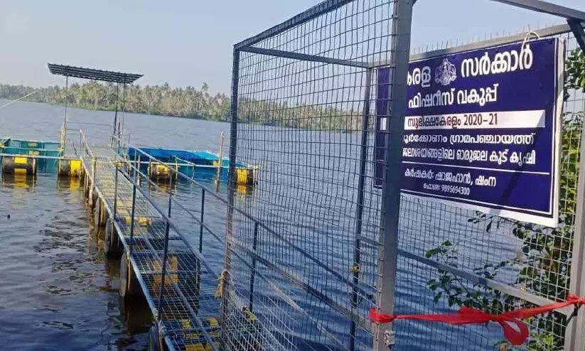 പഞ്ചായത്തുകളുടെ അതിരുതർക്കം; ജീവിതം വഴിമുട്ടി യുവസംരംഭക