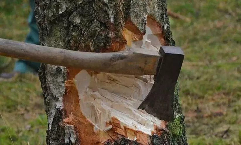 തേക്ക് തോട്ടത്തിലെ മരം മുറി : വനംവകുപ്പിലെ രണ്ട് മുൻ ഉദ്യോഗസ്ഥർ 1289 രൂപ വീതം അടക്കണമെന്ന് ഉത്തരവ് തേക്ക് തോട്ടത്തിലെ മരം മുറി : വനംവകുപ്പിലെ രണ്ട് മുൻ ഉദ്യോഗസ്ഥർ 1289 രൂപ വീതം അടക്കണമെന്ന് ഉത്തരവ്