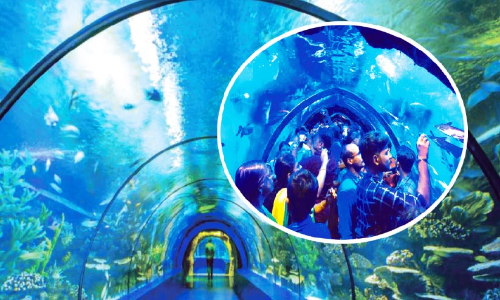 കടലിനടിയിലൂടെ നടന്നിട്ടുണ്ടോ? ഇല്ലെങ്കിൽ വരൂ...