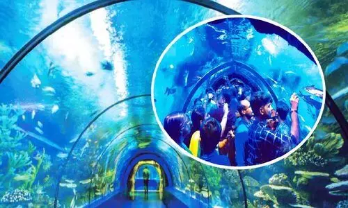 കടലിനടിയിലൂടെ നടന്നിട്ടുണ്ടോ? ഇല്ലെങ്കിൽ വരൂ...