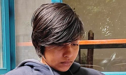 Shraddha Walkar murder