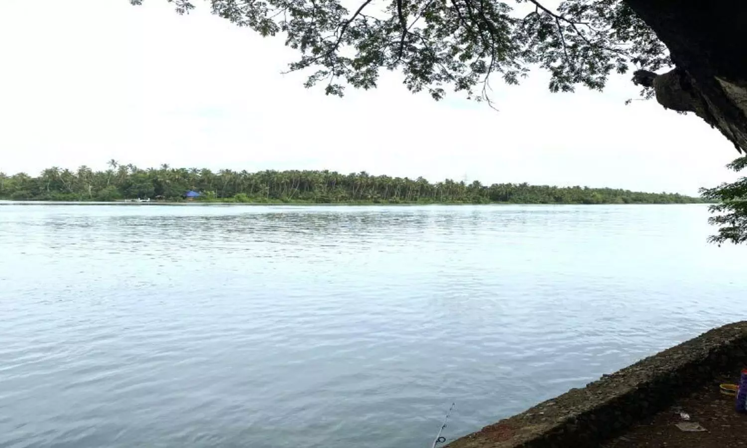 കല്ലൂരിക്കടവ് പാലം യാഥാർഥ്യത്തിലേക്ക്