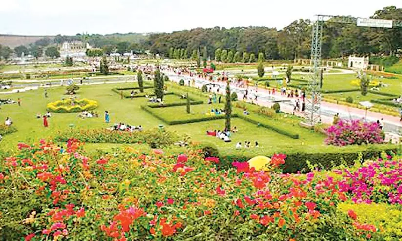 പുലി ഭീഷണി ഒഴിയാതെ മൈസൂരു വൃന്ദാവൻ പുലി ഭീഷണി ഒഴിയാതെ മൈസൂരു വൃന്ദാവൻ