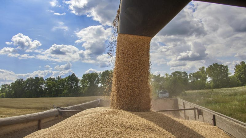 Ukraine grain export deal: Kuwait welcomed Ukraine grain export deal: Kuwait welcomed
