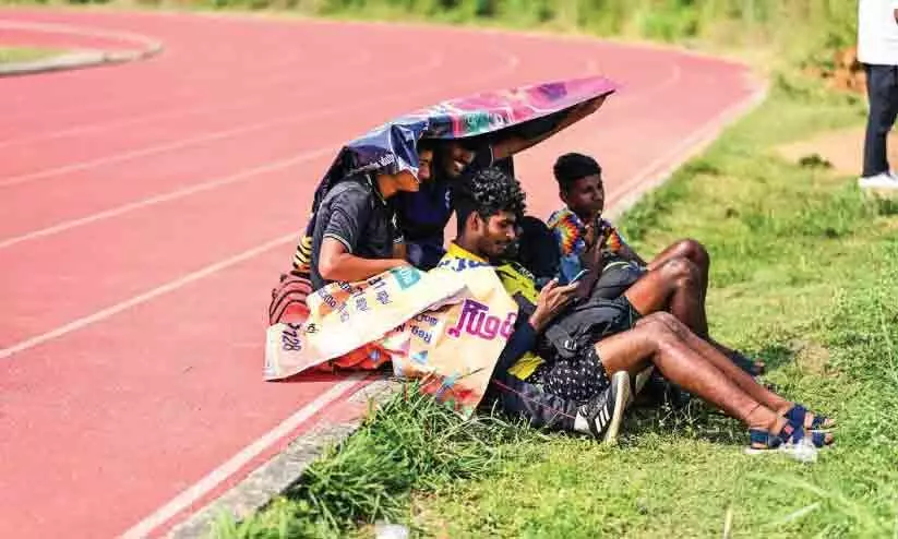 സിന്തറ്റിക് ഓകെ, വെയിൽ അസഹനീയം സിന്തറ്റിക് ഓകെ, വെയിൽ അസഹനീയം