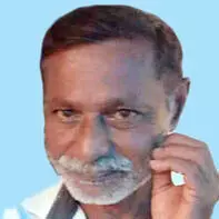 തൊ​ഴു​ത്തി​ൽ മ​രി​ച്ച നി​ല​യി​ൽ