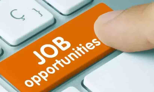 255 Vacancy in Delhi AIIMS 255 Vacancy in Delhi AIIMS