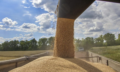Ukraine grain export deal: Kuwait welcomed