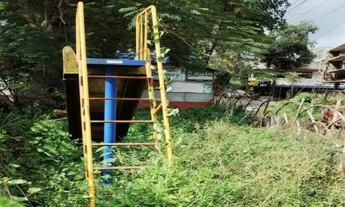 കാടുമൂടി പാർക്ക് നശിക്കുന്നു കാടുമൂടി പാർക്ക് നശിക്കുന്നു