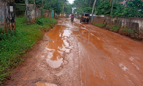 കോട്ടമുകള്‍ -പാല്‍ക്കുന്ന് റോഡ്: കുണ്ടും കുഴിയും ചളിയും