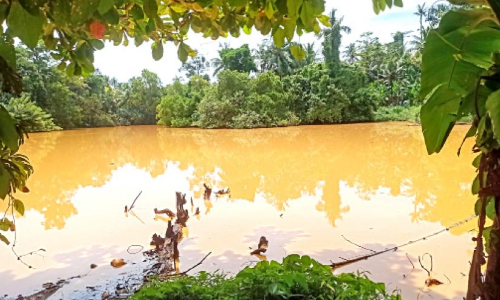 ചവറയിലെ രാസ ഗ്രാമം