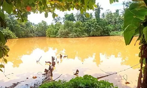 ചവറയിലെ രാസ ഗ്രാമം