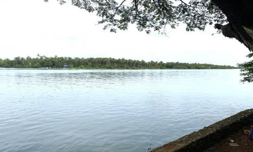 കല്ലൂരിക്കടവ് പാലം യാഥാർഥ്യത്തിലേക്ക്