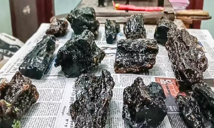 ചെങ്കോട്ടയിൽ 41.5 ലക്ഷത്തിന്‍റെ ആമ്പർ ഗ്രീസ് പിടികൂടി