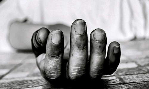 പാലക്കാട് അമ്മയെ ക​ഴുത്തറുത്ത് കൊലപ്പെടുത്തി മകൻ ജീവനൊടുക്കി