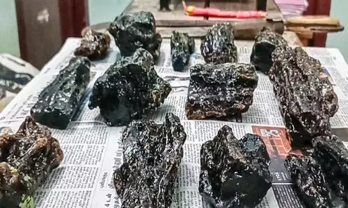 ചെങ്കോട്ടയിൽ 41.5 ലക്ഷത്തിന്‍റെ ആമ്പർ ഗ്രീസ് പിടികൂടി