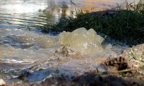 മെഡിക്കൽ കോളജ് മലിനജലം കനാലിലൊഴുക്കുന്നത് തടയണം