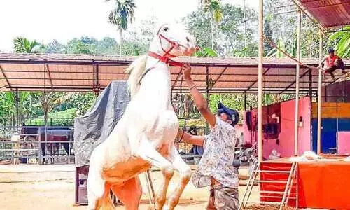 മ്ലാന്തടത്തിൽ കുതിരക്കുളമ്പടി ശബ്​ദം