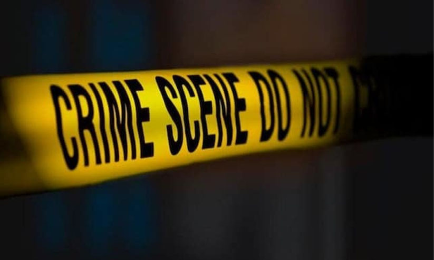 പാലപ്പുറത്ത് വെട്ടേറ്റ് മരിച്ച സരസ്വതി അമ്മയുടെ ശരീരത്തിൽ 23 മുറിവുകൾ