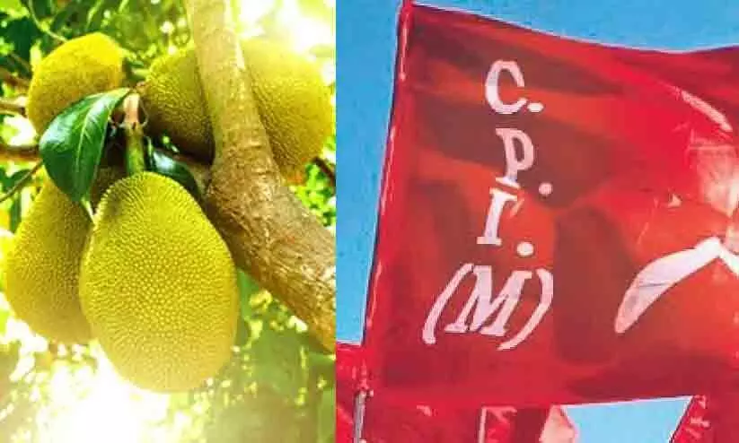 സ്കൂൾ മുറ്റത്തെ പ്ലാവുകൊണ്ട് വീടുനിർമ്മിച്ച  സി.പി.എം നേതാവി​െൻറ നടപടി വിവാദത്തിൽ