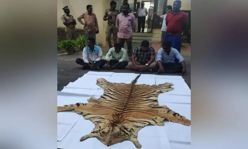 കടുവത്തോൽ കച്ചവടം: നാലുപേർ അറസ്റ്റിൽ