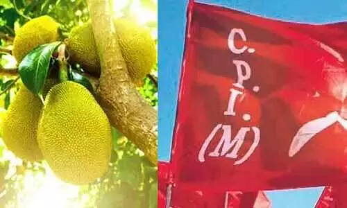 സ്കൂൾ മുറ്റത്തെ പ്ലാവുകൊണ്ട് വീടുനിർമ്മിച്ച  സി.പി.എം നേതാവി​െൻറ നടപടി വിവാദത്തിൽ