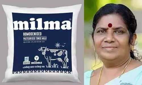 മിൽമ പാലിന് ലിറ്ററിന് അഞ്ചുരൂപ വർധിപ്പിക്കും, നേട്ടം കർഷകനെന്ന് മന്ത്രി