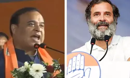 Himanta Biswa Sarma, rahul gandhi
