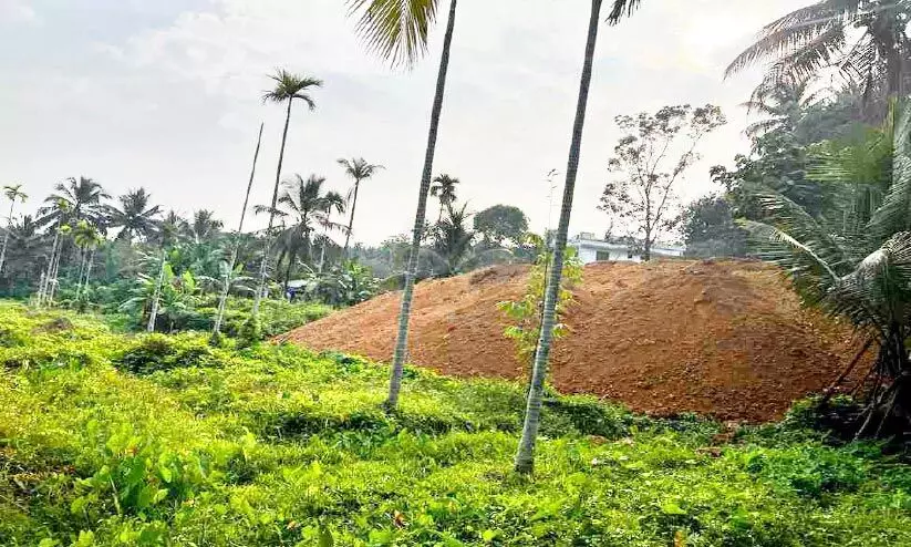എള്ളരിഞ്ഞിയിൽ തണ്ണീർത്തടം മണ്ണിട്ടുനികത്തുന്നു എള്ളരിഞ്ഞിയിൽ തണ്ണീർത്തടം മണ്ണിട്ടുനികത്തുന്നു