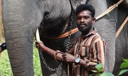 മൂന്നാറിൽ ആനസവാരി കേന്ദ്രം ജീവനക്കാരൻ കുത്തേറ്റ്​ മരിച്ചു