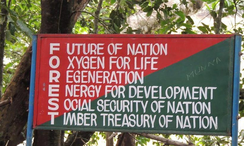 forest department forest department