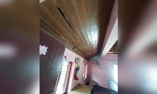 ഭീഷണിയായി സ്കൂളിൽ മരപ്പട്ടി