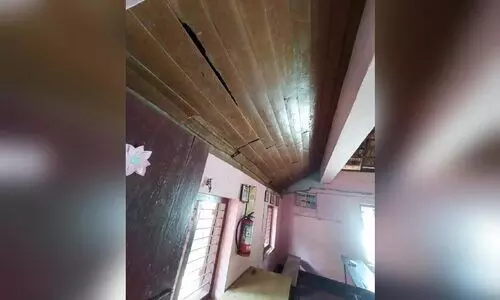 ഭീഷണിയായി സ്കൂളിൽ മരപ്പട്ടി