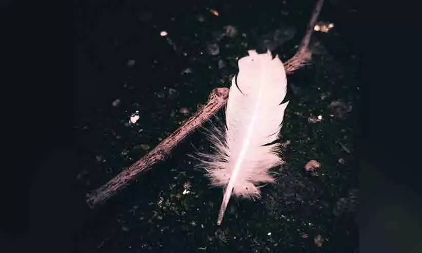 ഇരുട്ട് (കവിത) ഇരുട്ട് (കവിത)