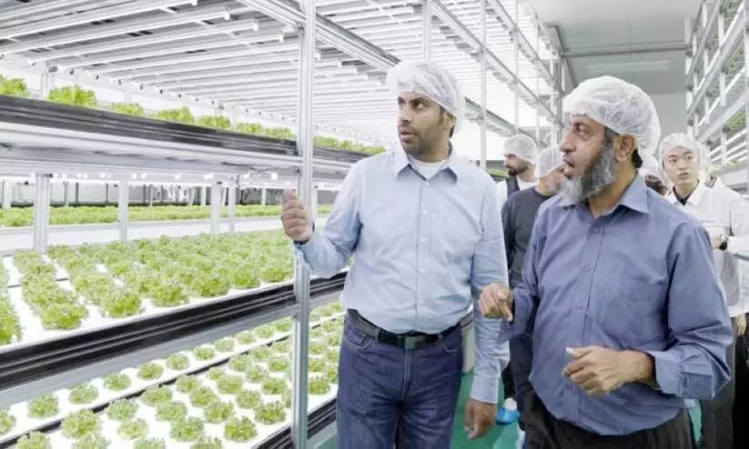 ഭക്ഷ്യസുരക്ഷ;സ്മാർട്ട് ഫാമിങ്ങുമായി ഒമാൻ ഭക്ഷ്യസുരക്ഷ;സ്മാർട്ട് ഫാമിങ്ങുമായി ഒമാൻ