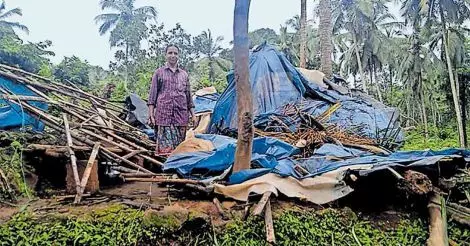 ആറളം ഫാമിലെ 746 പട്ടയം റദ്ദുചെയ്യുമ്പോൾ പുറത്താകുന്നത് കോളനികളിലെ പണിയർ