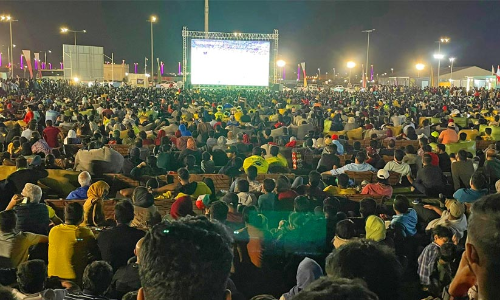 കളിക്കാഴ്ചകളോടെ ഫാൻ വില്ലേജ്