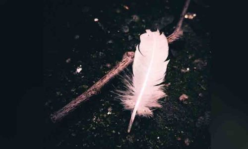 ഇരുട്ട്                  (കവിത)