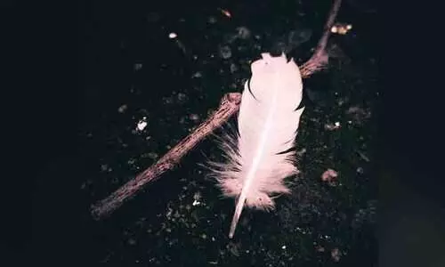 ഇരുട്ട്                  (കവിത)