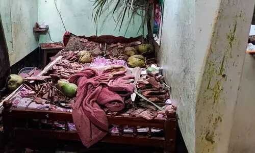 കാട്ടാന വീടിനു മുകളിൽ തെങ്ങ് മറിച്ചിട്ടു